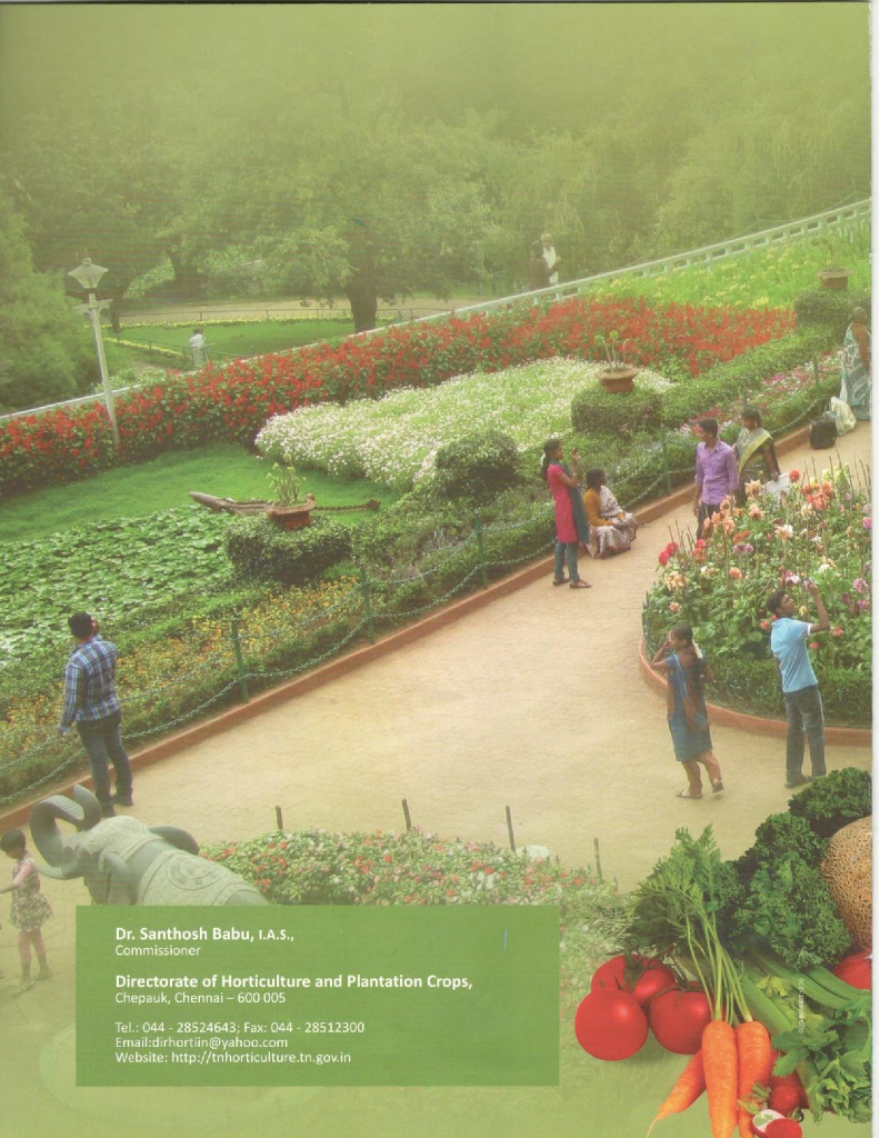 Innovation/ Initiatives at Directorate of Horticulture & Plantation